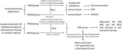 A New Method to Improve Running Economy and Maximal Aerobic Power in Athletes: Endurance Training With Periodic Carbon Monoxide Inhalation